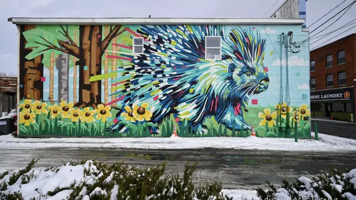 colorful porcupine mural